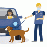 Petcare Safety Window Cling